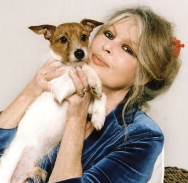 Brigitte Bardot specjalnie dla naszego Wydawnictwa:„Zwierzę nie jest zabawką!”