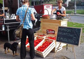 Pudliszki na Targach Śniadaniowych