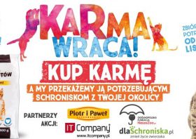 Piotr i Paweł wspiera karmienie bezdomnych zwierząt