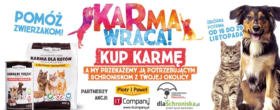 Piotr i Paweł wspiera karmienie bezdomnych zwierząt