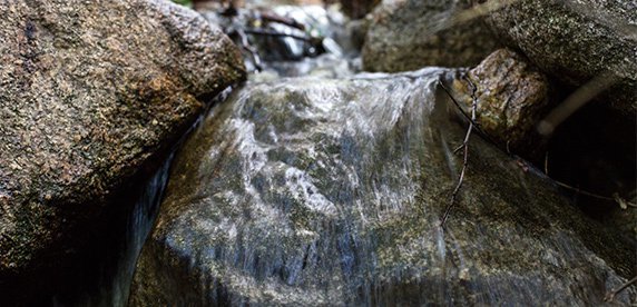 Nestlé Waters zacieśnia współpracę z Alliance for Water Stewardship