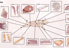 Minister rolnictwa w przyszłym tygodniu będzie rozmawiał o eksporcie wieprzowiny do Azji