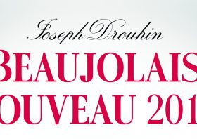 Beaujolais Nouveau w Centrum Wina