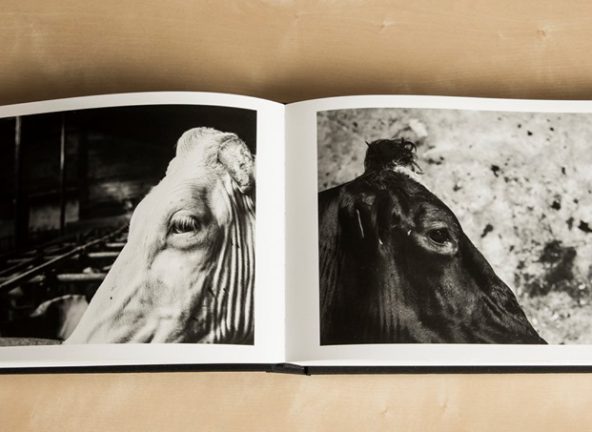 Hochland mecenasem albumu „WHITE & BLACK”