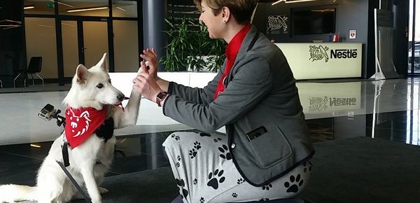 Pracownicy Nestlé Purina mogą przychodzić do biura z psem