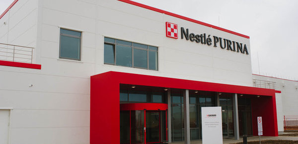 800 miejsc pracy do końca roku w fabryce karmy dla zwierząt Nestlé Purina
