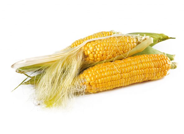 Gorsze oczekiwania dotyczące produkcji kukurydzy