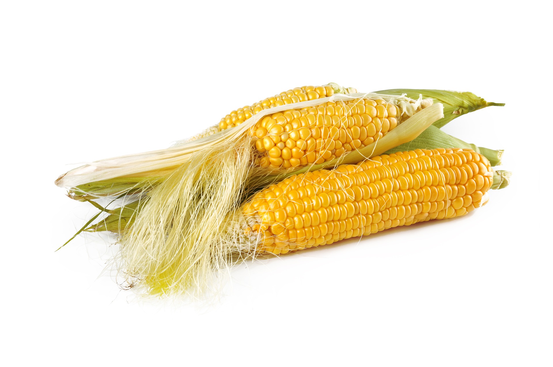 Gorsze oczekiwania dotyczące produkcji kukurydzy
