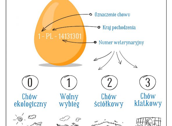 Kupując jaja wybieraj świadomie – kampania edukacyjna E.Leclerc