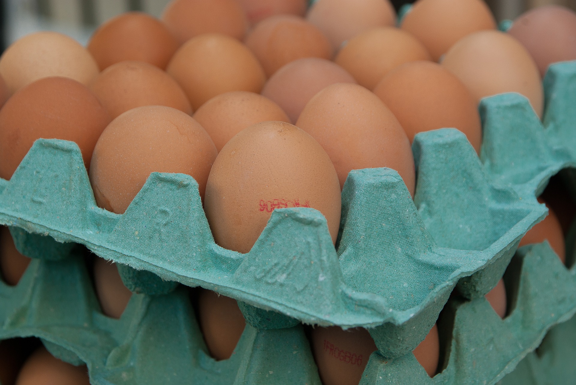 Z rynku wycofano 4,3 mln skażonych jaj