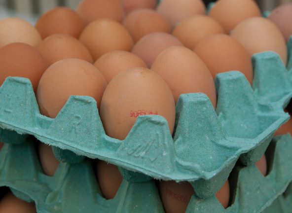 Jaja z chowu klatkowego nadal popularne