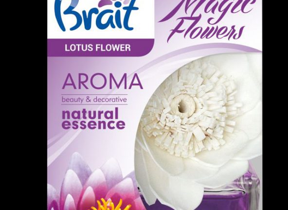 Pachnące kwiatki – Brait Magic Flowers