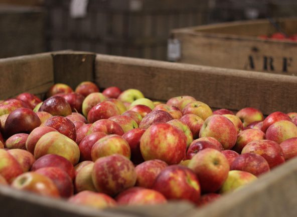 Związek Sadowników apeluje do marketów