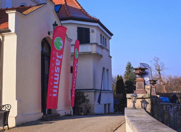 Jasmin: Wiosenne Przebudzenie