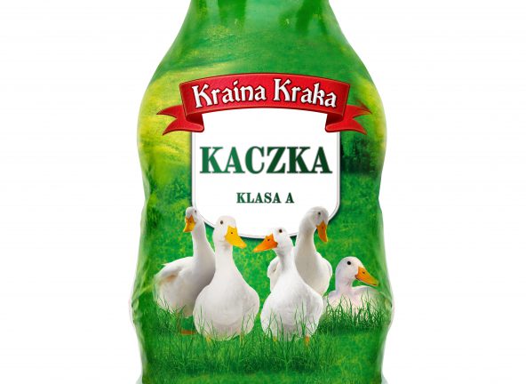 Kaczka Kraina Kraka