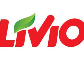 PSH Livio liczy 2300 sklepów