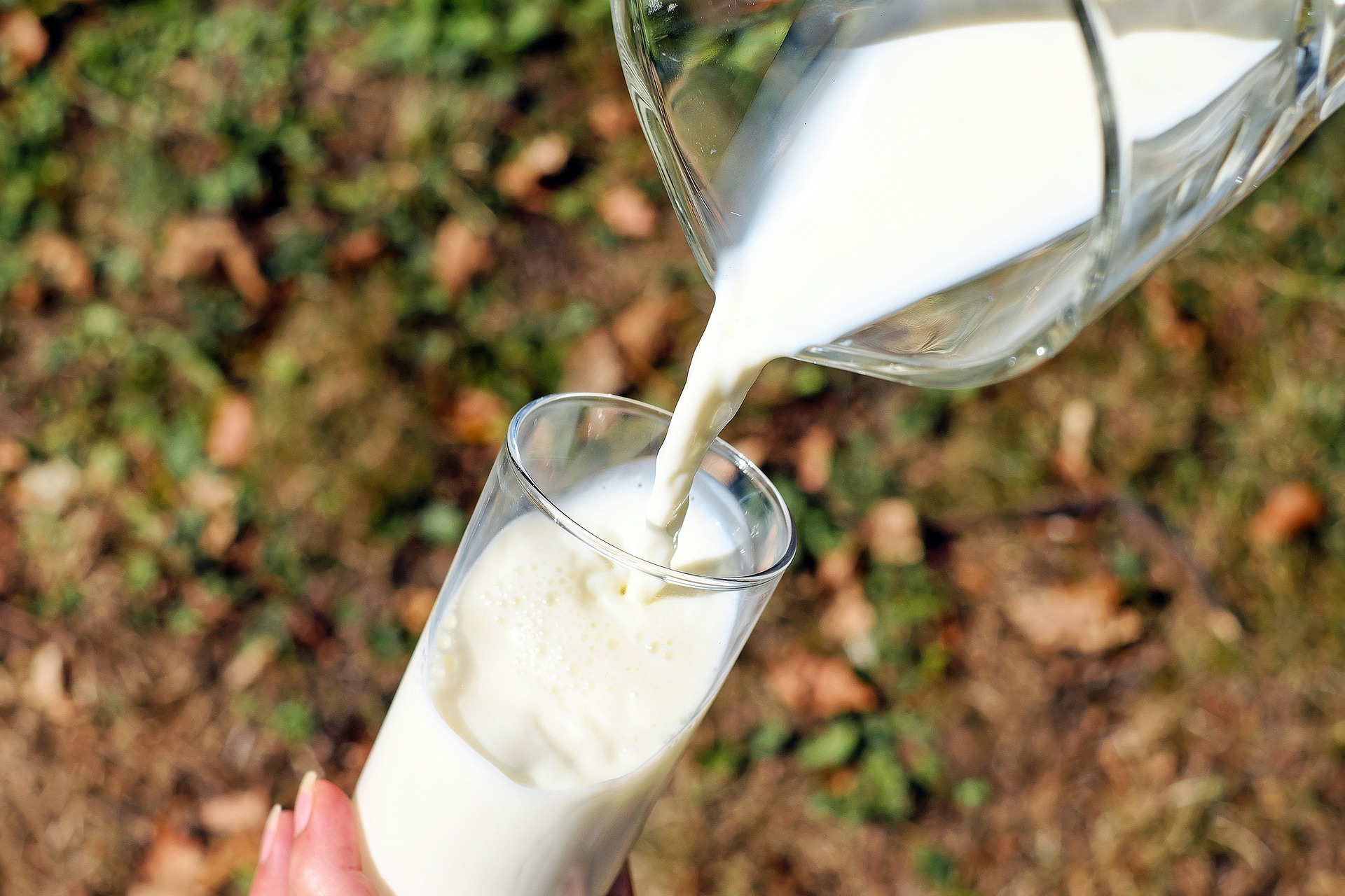 Polska Izba Mleka – aktualna sytuacja w mleczarstwie