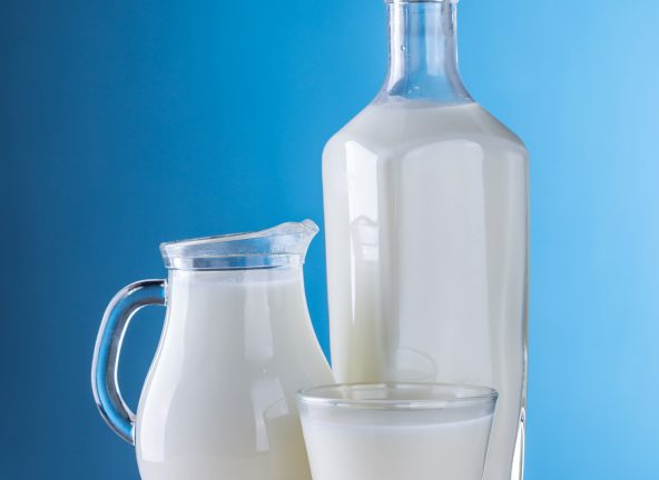 Spadki na rynku mleka