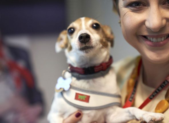 Zaproś psy do swojego biura razem z Nestlé PURINA