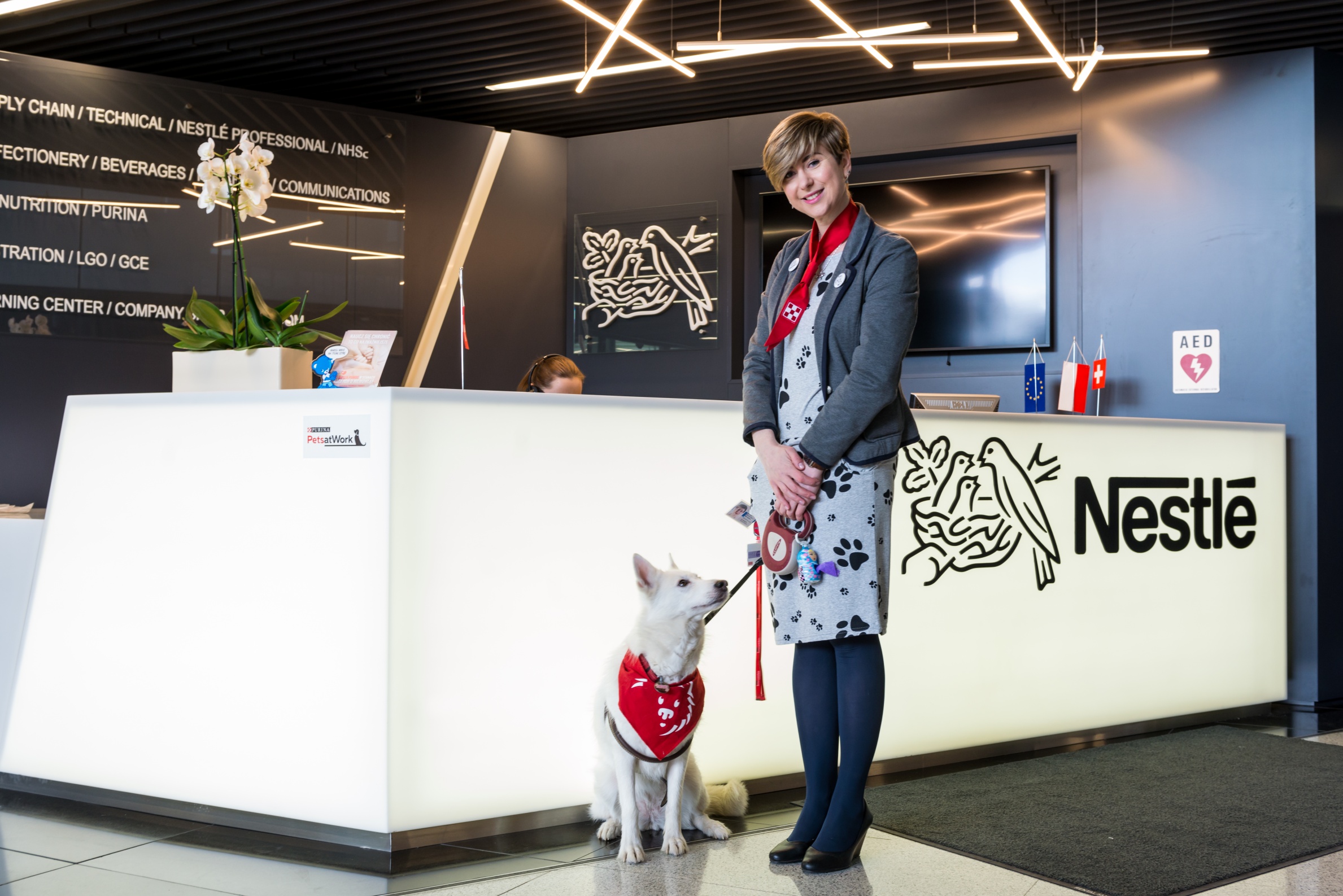 Nestlé Purina: Pets@work – czyli jak się pracuje z psem w biurze