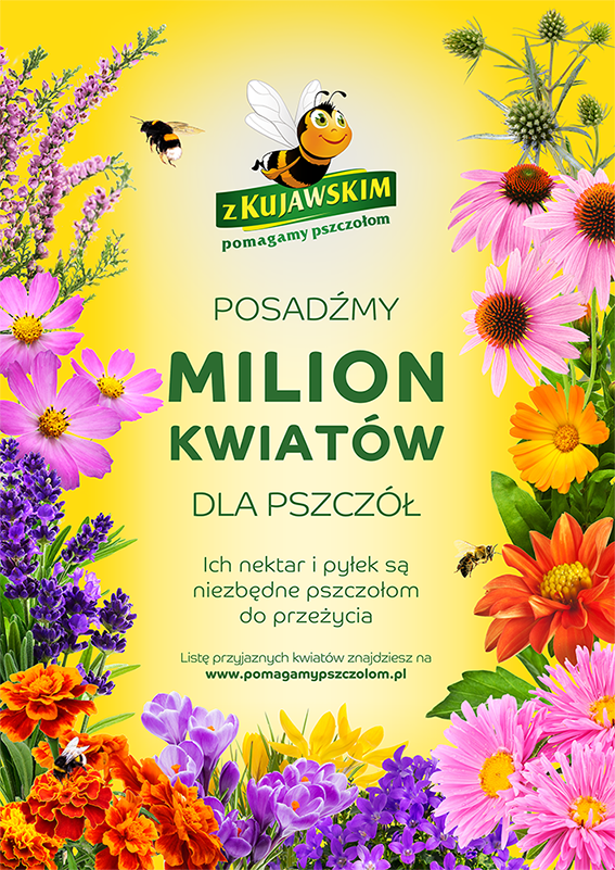 Milion kwiatów dla pszczół
