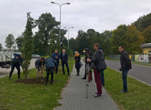 Pracownicy WINIARY zasadzili nowe drzewa w Kaliszu