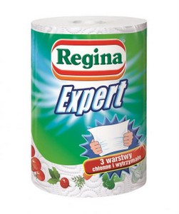 Regina Expert – fachowa pomoc w każdym domu