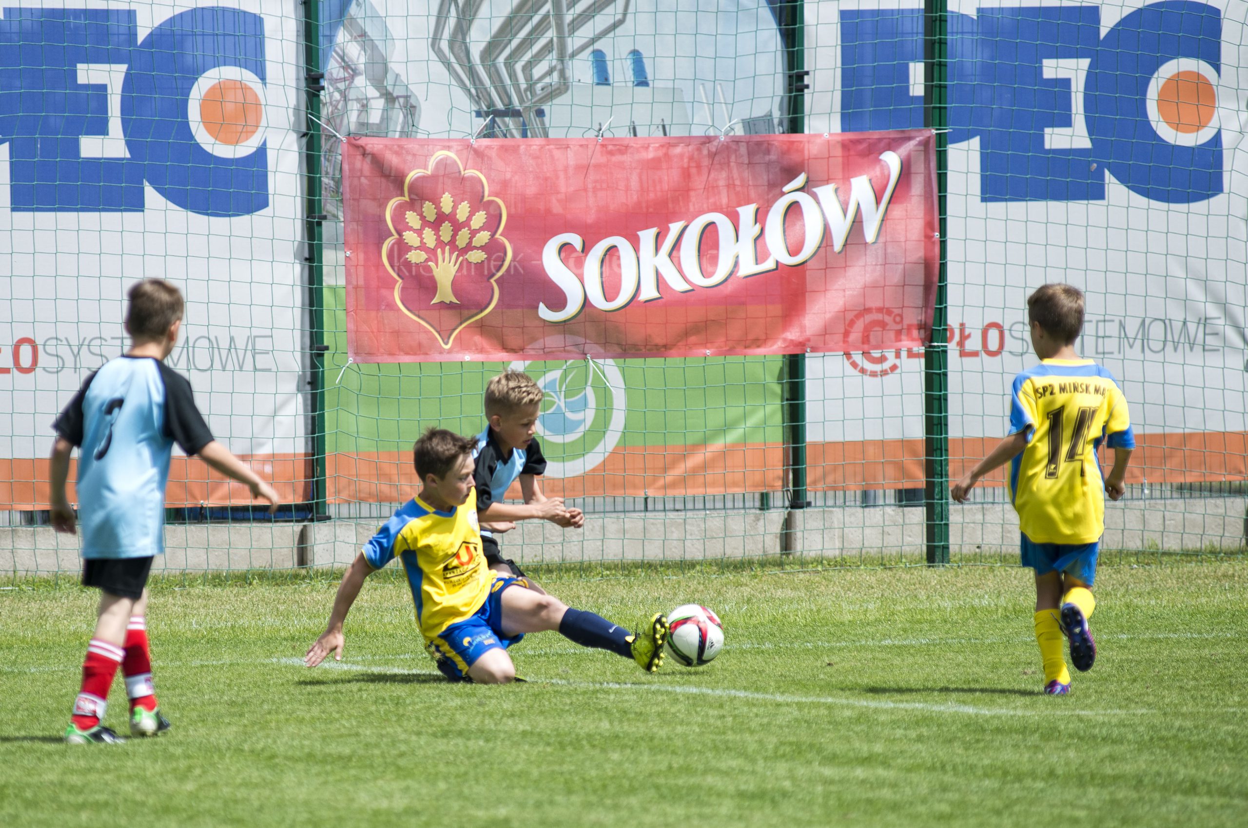 Sokołów S.A. nagradza dziecięce drużyny piłkarskie