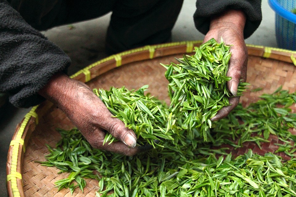 Kłopoty najsłynniejszej indyjskiej herbaty