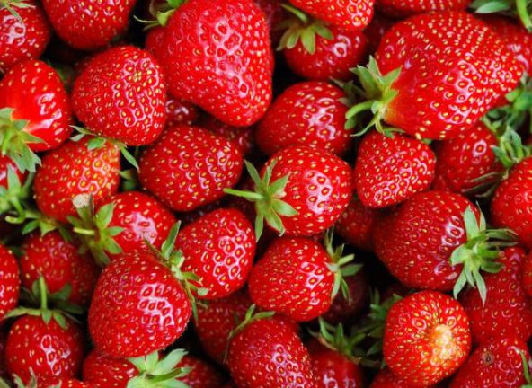 Rosjanie kupują przy granicy truskawki, bo u nich nie ma