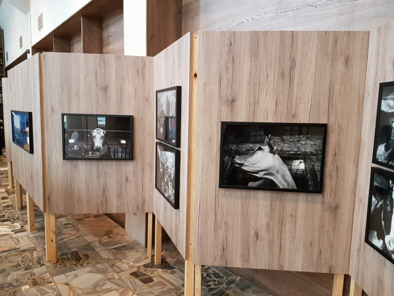 Hochland z wystawą „White & Black” na Międzynarodowym Forum Mleczarskim