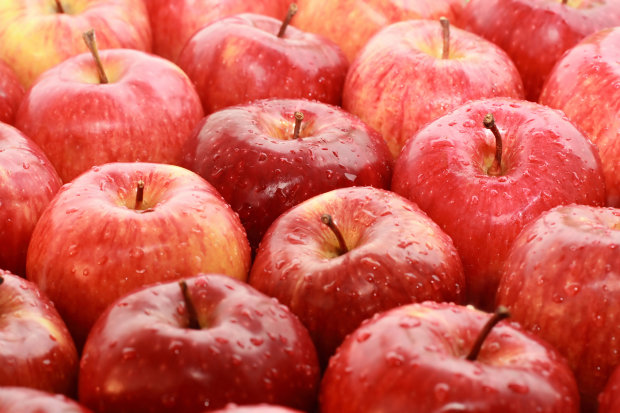 Jednej decyzji brakuje do umożliwienia eksportu jabłek do Indii