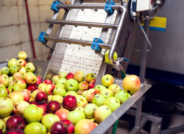 Mniejszy eksport koncentratu jabłkowego