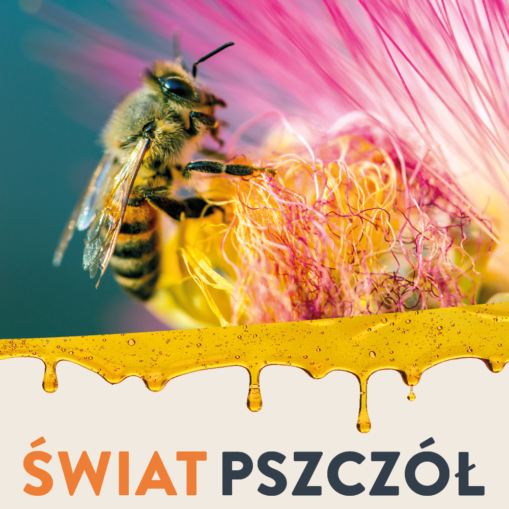 Ceetrus Polska promuje bioróżnorodność w ramach kampanii „Świat pszczół”