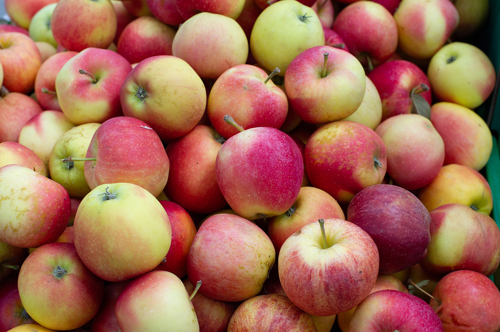 Ruszą kontrole cen jabłek w punktach skupu