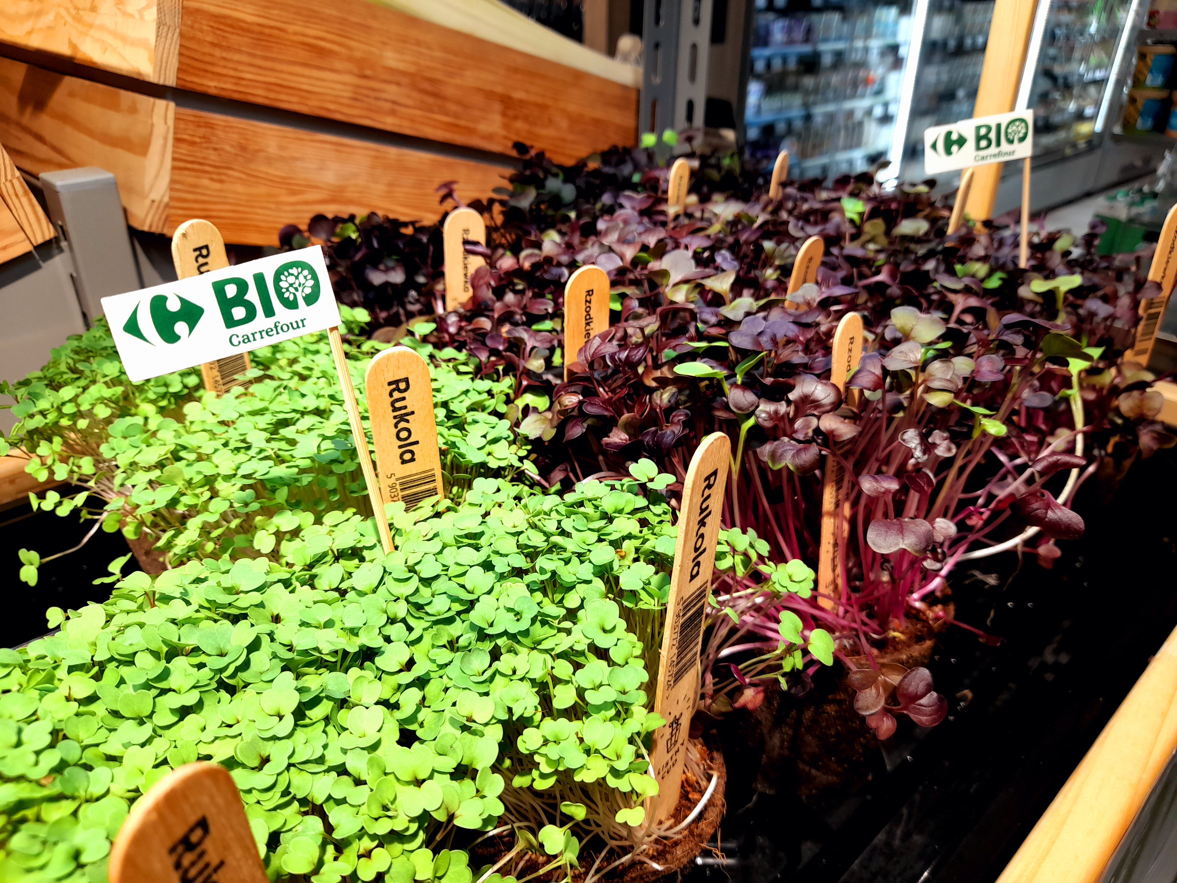 Rynek żywności bio i wegańskiej w górę