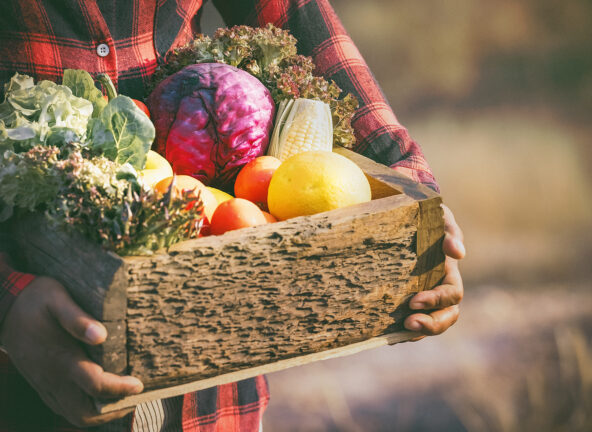 Sezonowe warzywa mogą podrożeć nawet o 30%