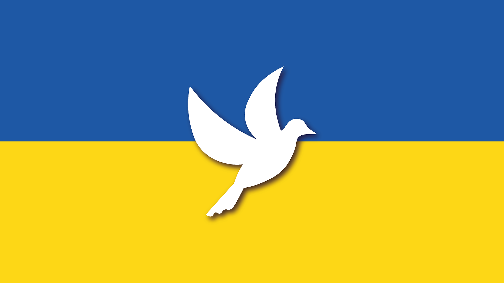 Poradnik Handlowca solidaryzuje się z ukraińskimi handlowcami