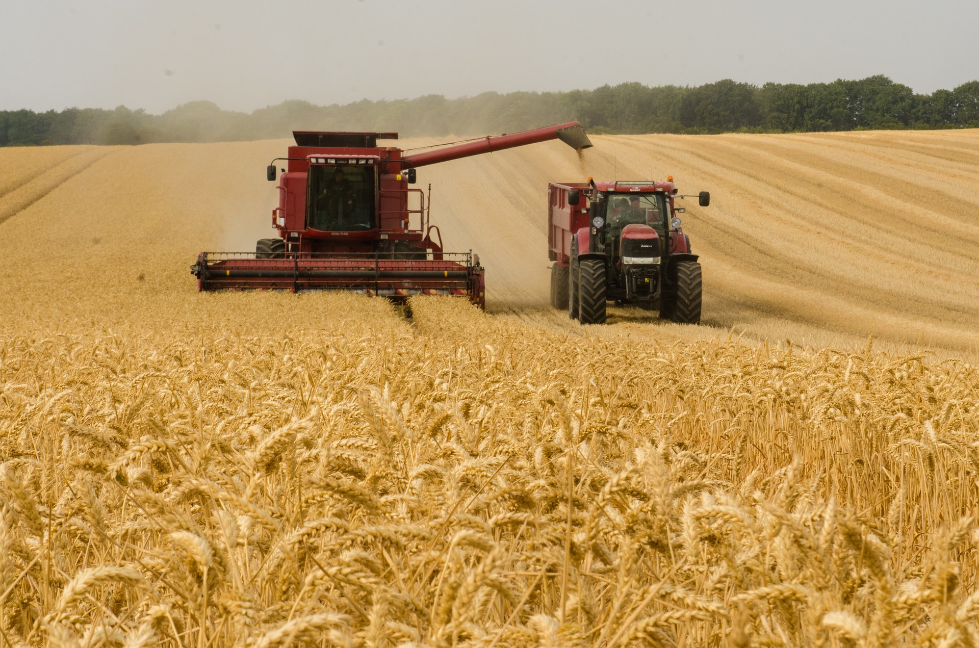 FAO ostrzega: ceny żywności biją kolejne rekordy