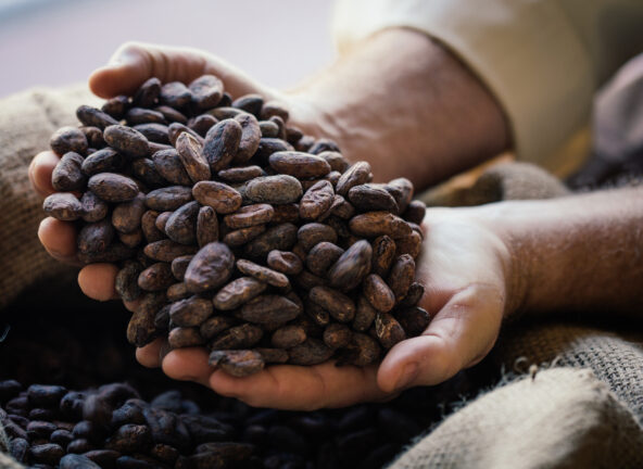 10 lat Cocoa Life – programu zrównoważonego pozyskiwania kakao Mondelēz International