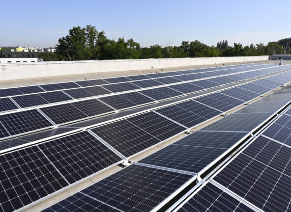 Kaufland podnosi efektywność energetyczną swoich placówek – sieć inwestuje w energooszczędne LED-y i fotowoltaikę