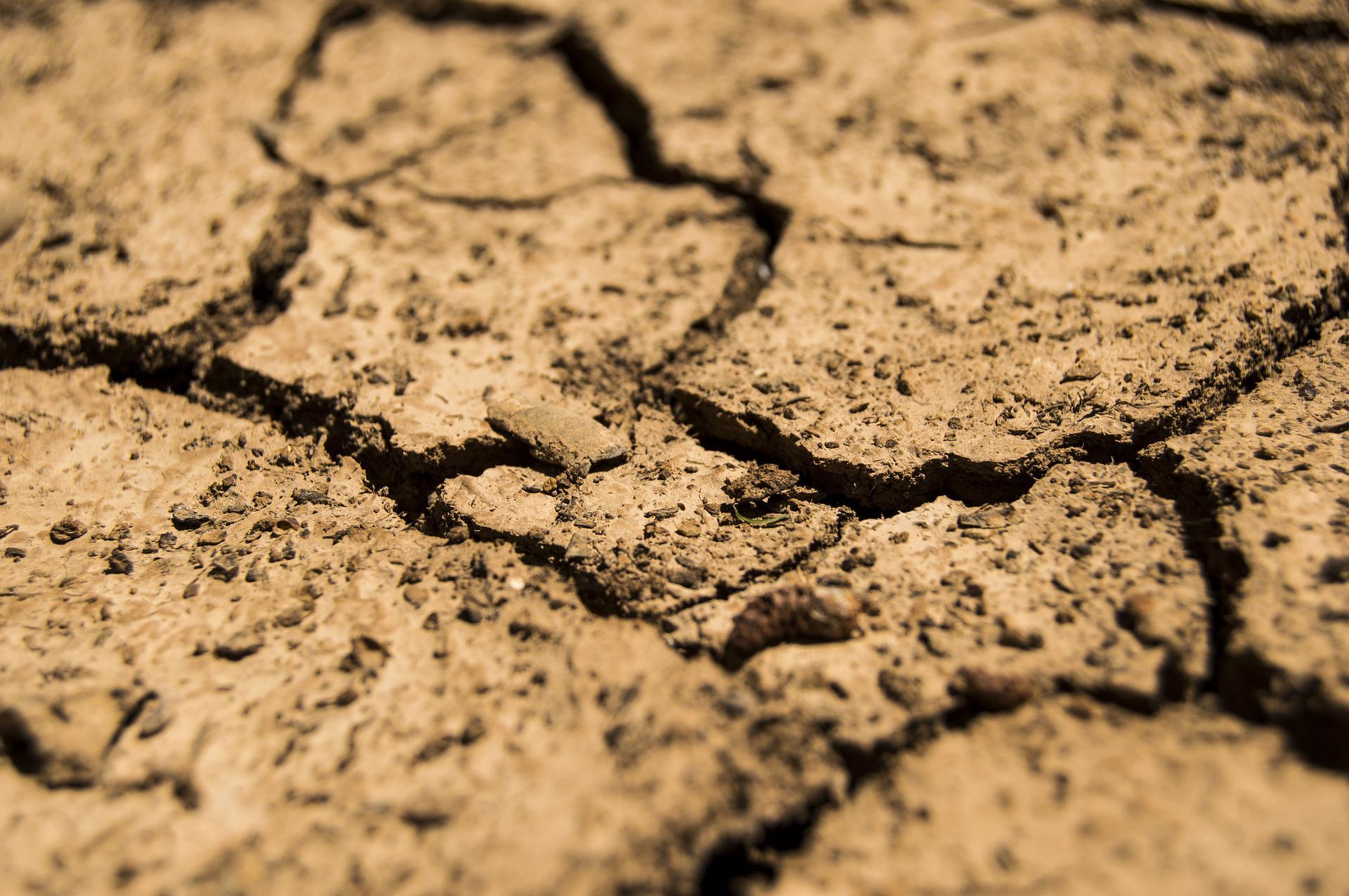 Największa od 500 lat susza już uderza w produkcję żywności