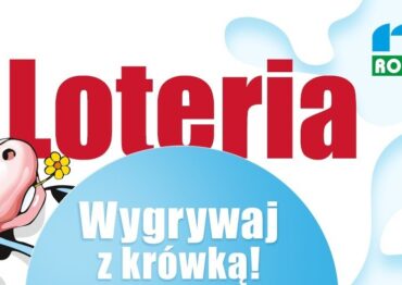 „Wygrywaj z krówką” – startuje loteria kultowych serków Rolmlecz