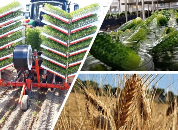 Grupa Maspex rozwija projekty wspierające zrównoważone rolnictwo