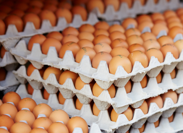 Czy ptasia grypa spowoduje spadek podaży polskich jajek?