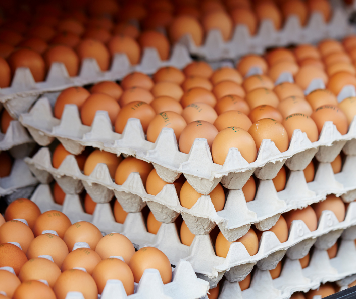 Czy ptasia grypa spowoduje spadek podaży polskich jajek?