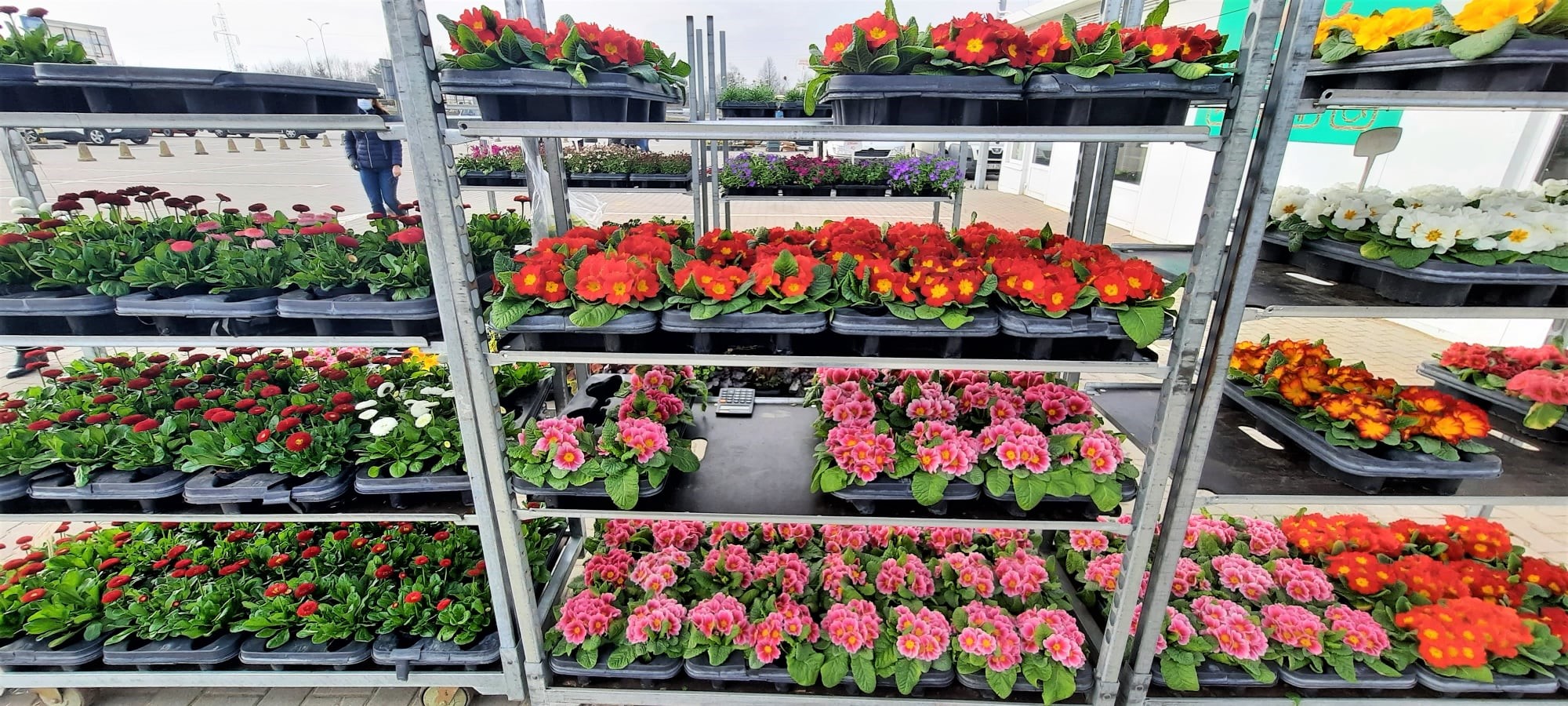 Największa giełda kwiatów w Białymstoku rusza już w marcu!