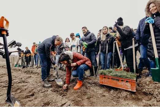 LAS ROSSMANNA - dodatkowe hektary drzew w Łodzi i województwie