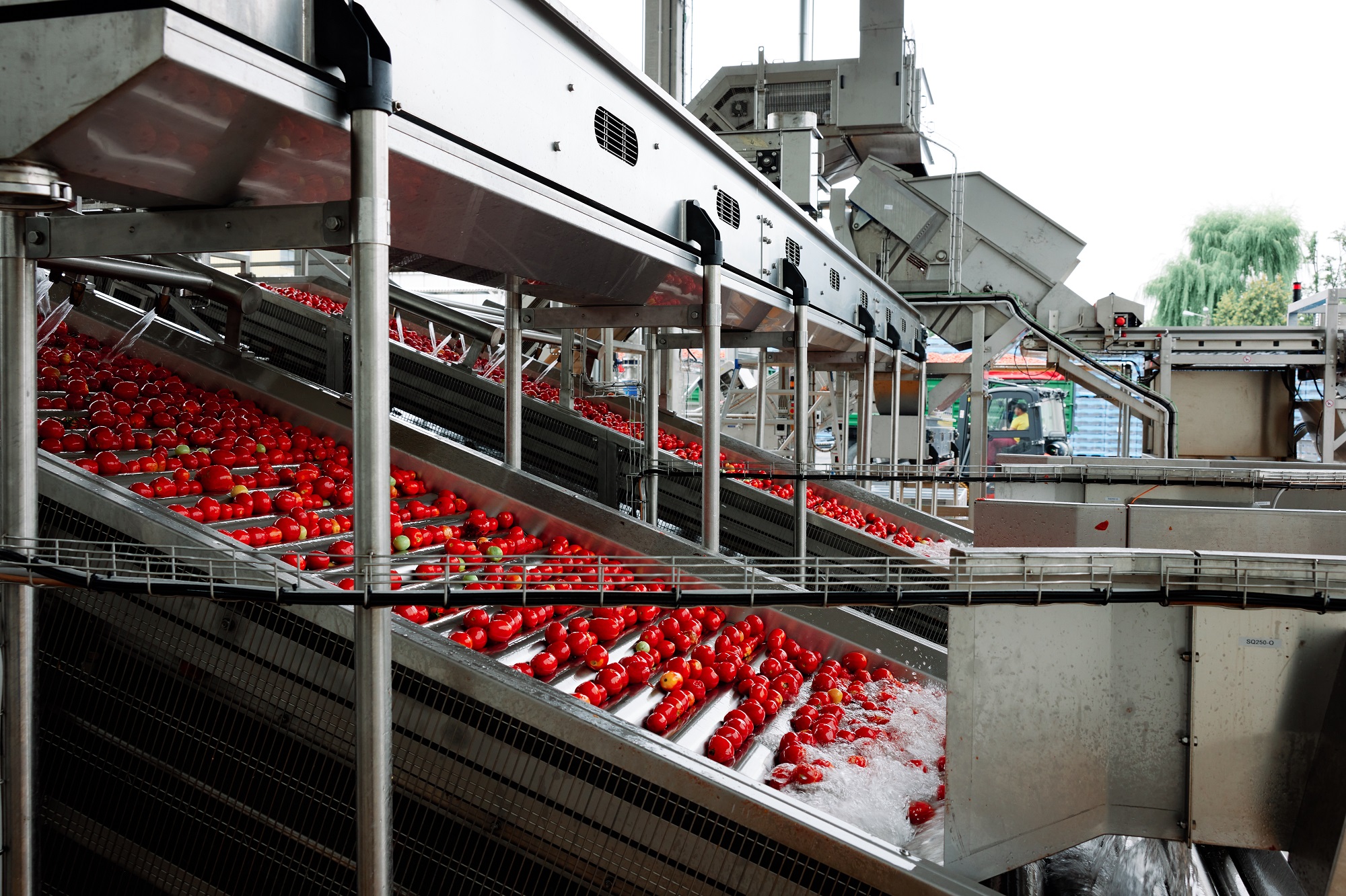 Przetworzą nawet 60 tys. ton pomidorów. Innowacyjne inwestycje i dbałość o region w zakładzie Agros Nova