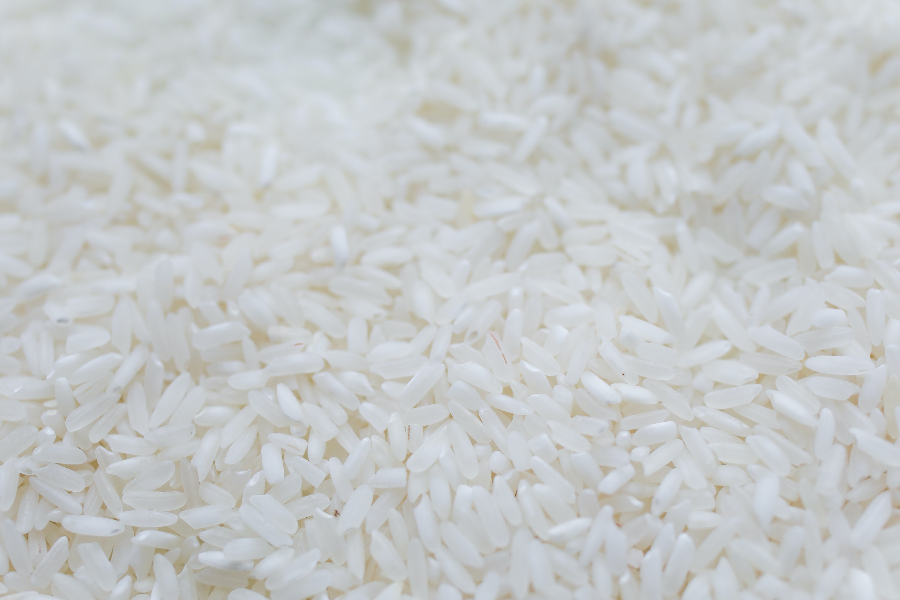 Indie zakazują eksportu ryżu